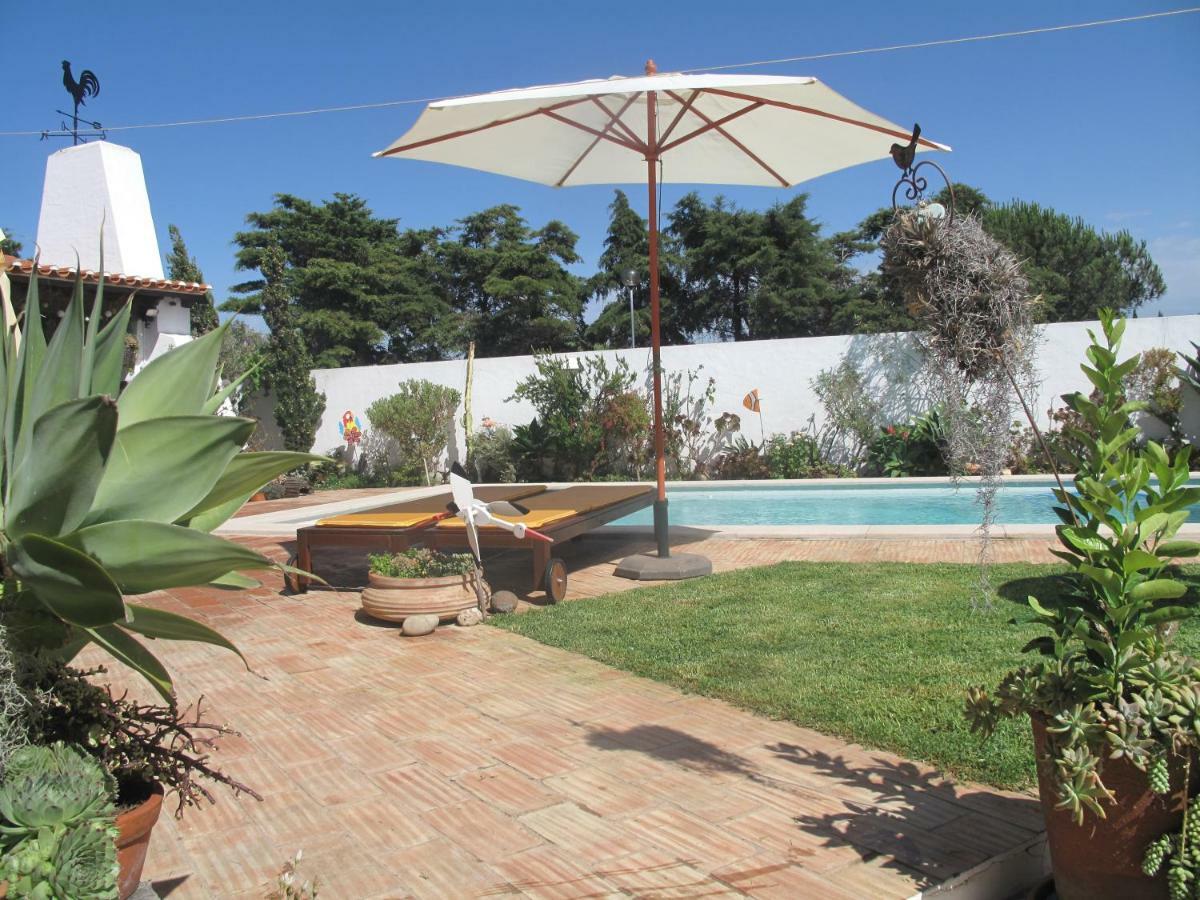 Casa Dos Cactos Hotel Vila Nova de Milfontes Eksteriør billede